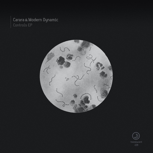 Carara, Modern Dynamic - Controls EP [TRANS229]